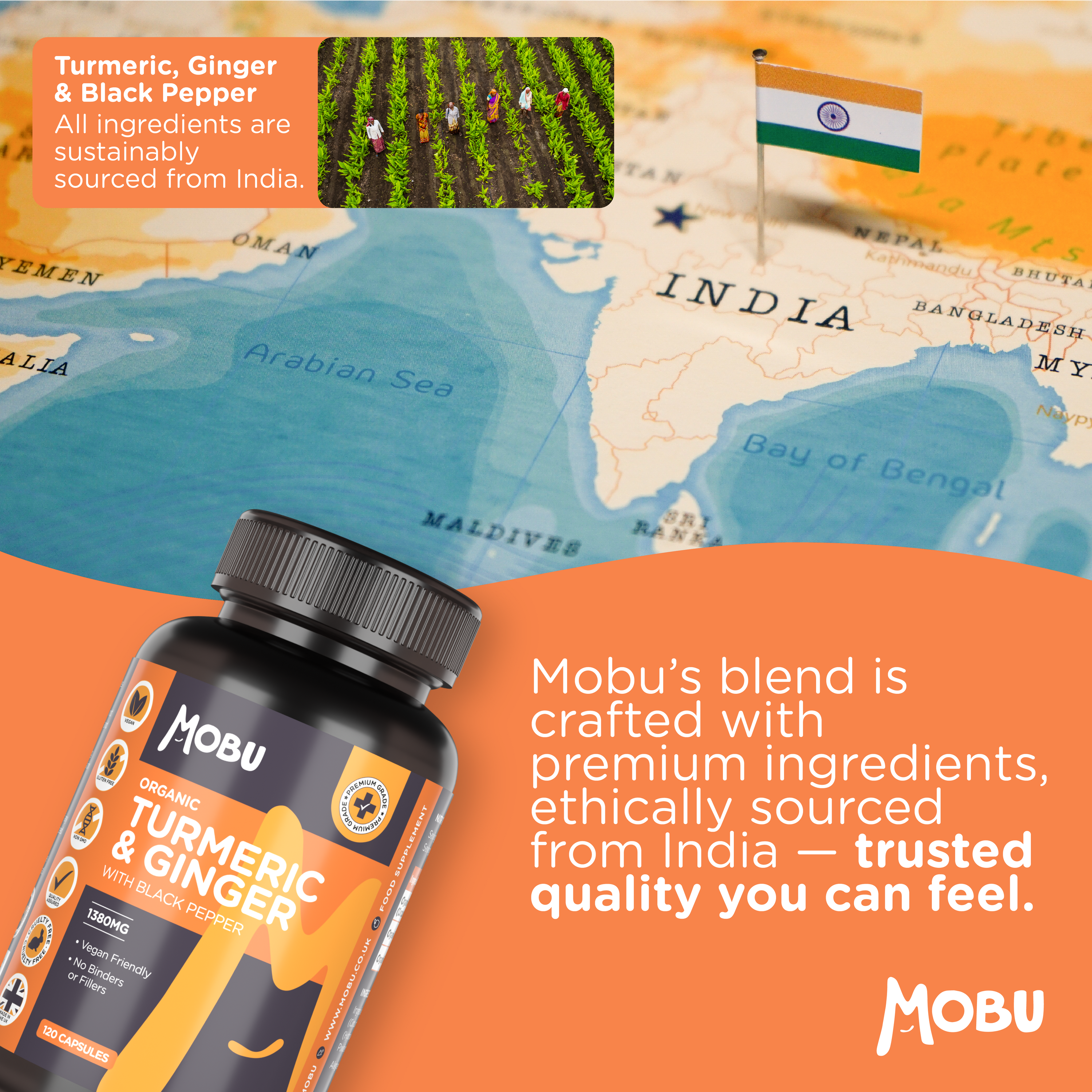 Clean Organic Turmeric, Ginger & Black Pepper