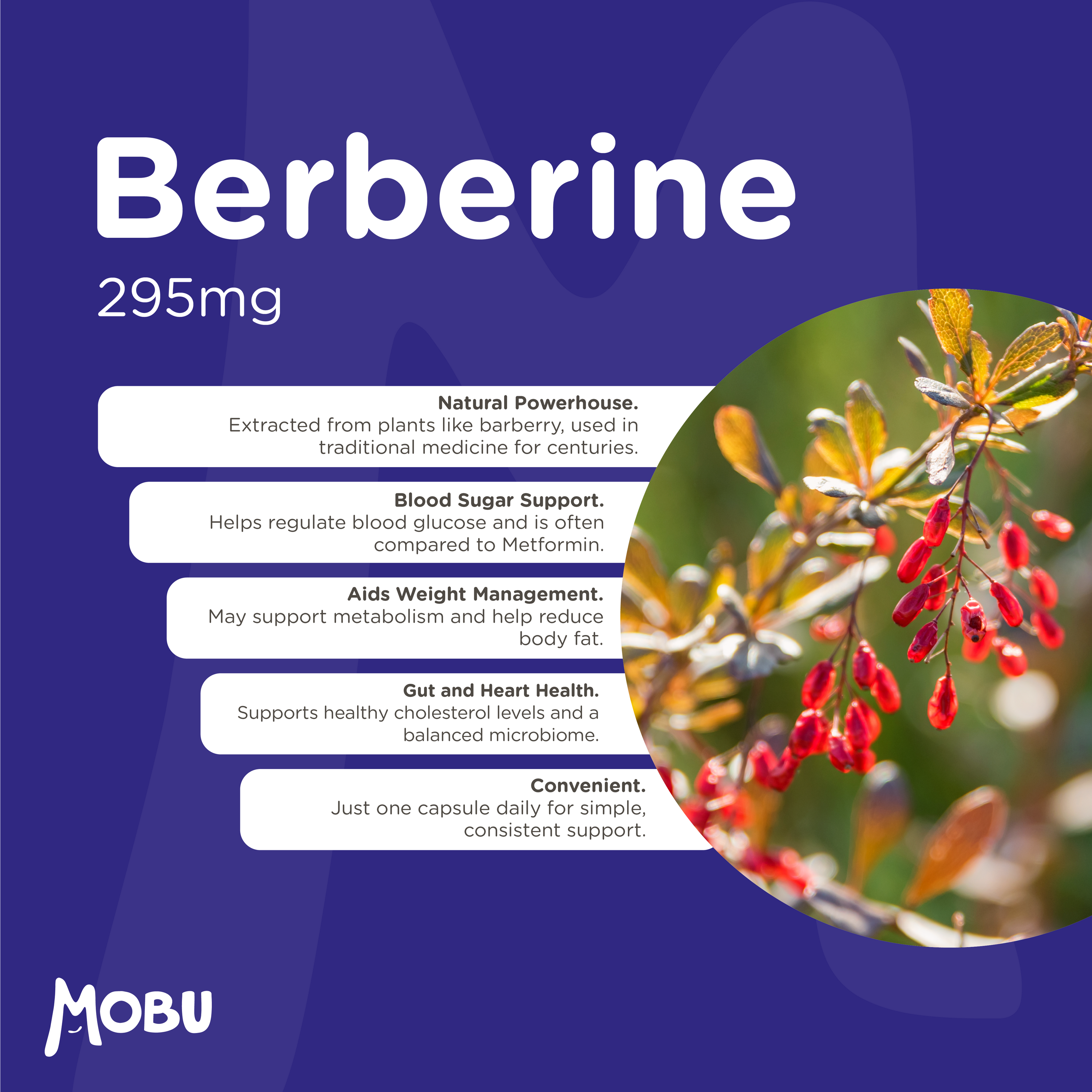 Berberine 295mg