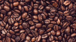 Everything You Need To Know About Coffee
