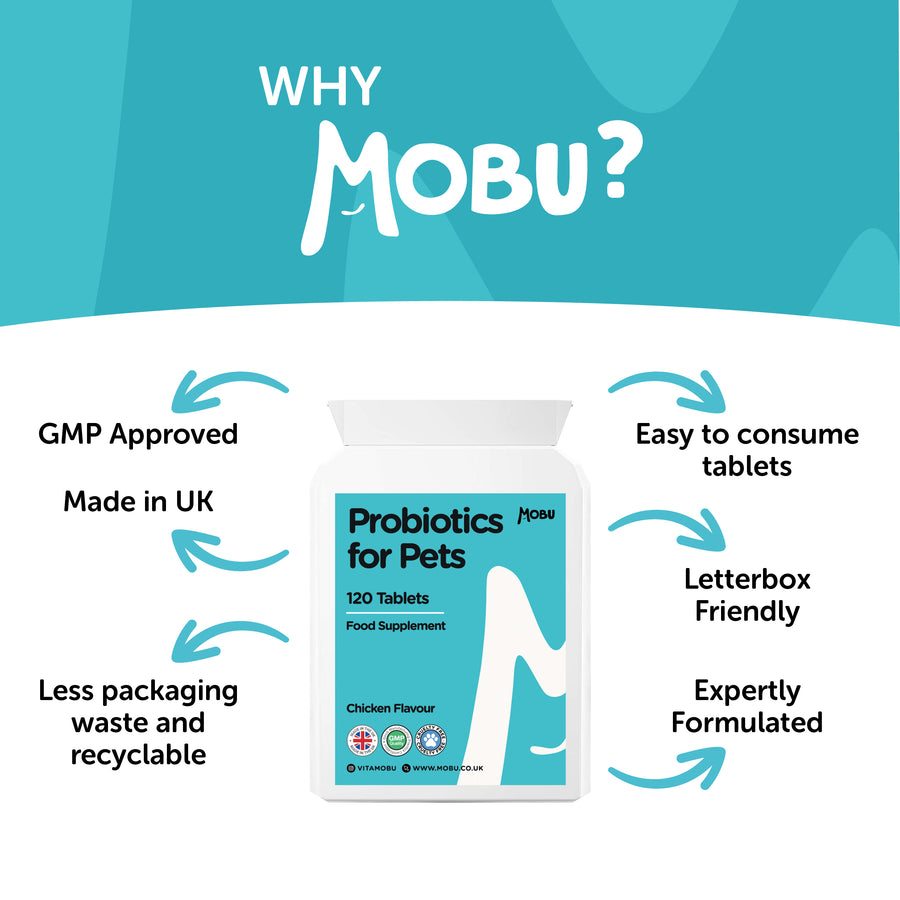 Probiotics for Pets